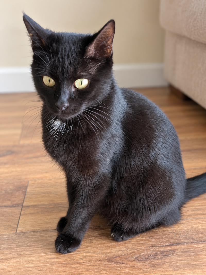 Mama Coco
