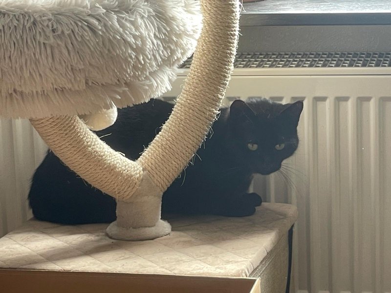 Salem
