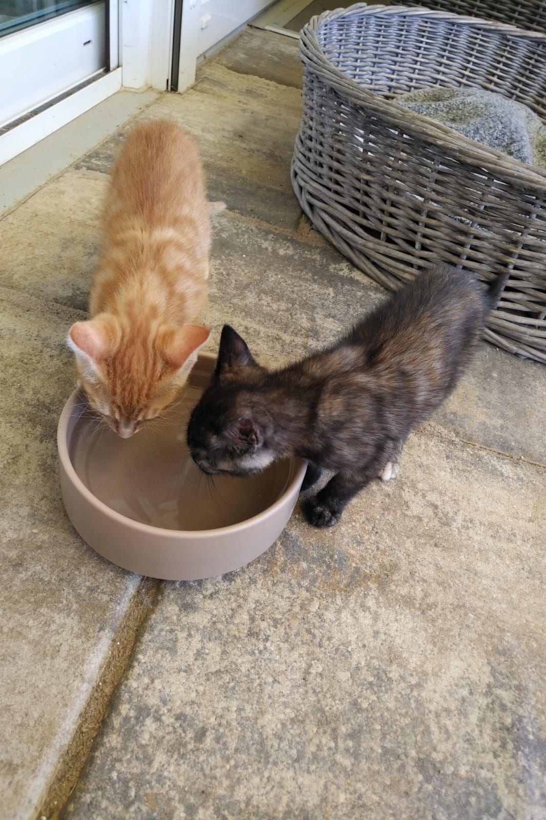 Loki & Peppa