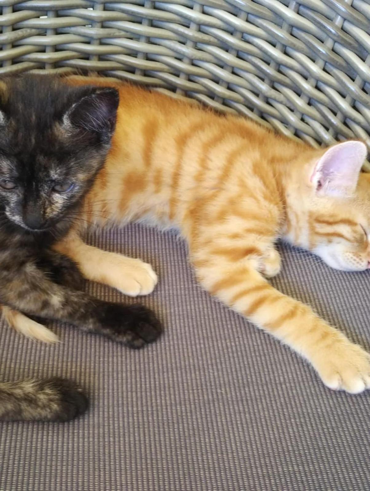 Loki & Peppa