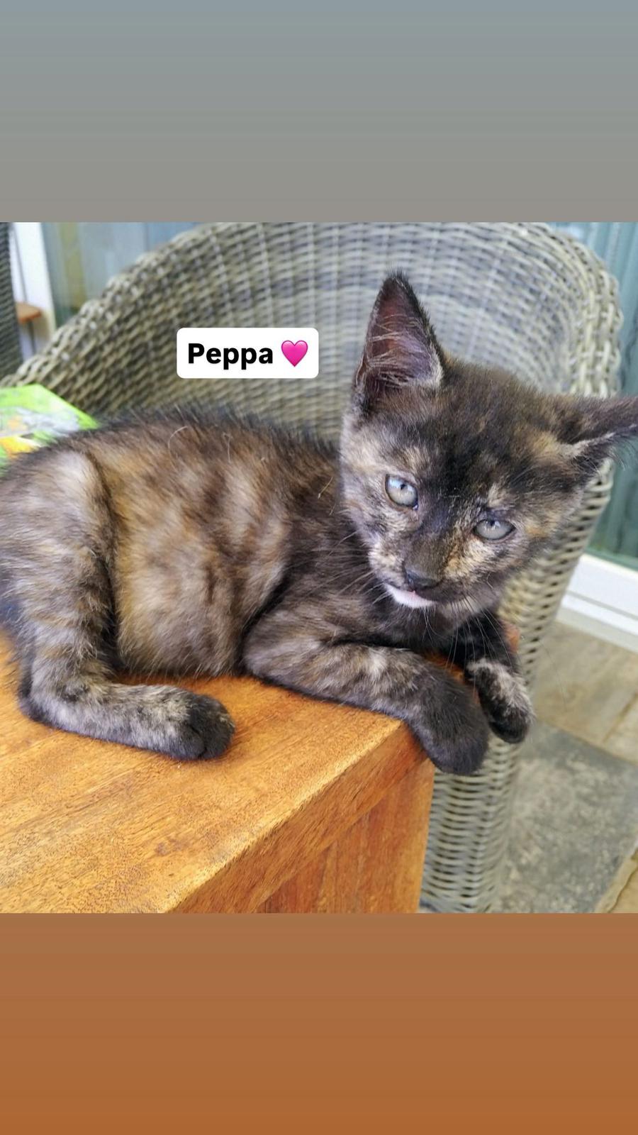 Loki & Peppa