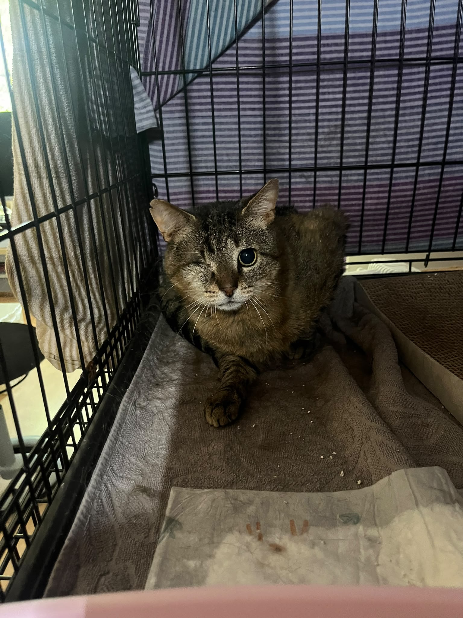 Nik und Jill