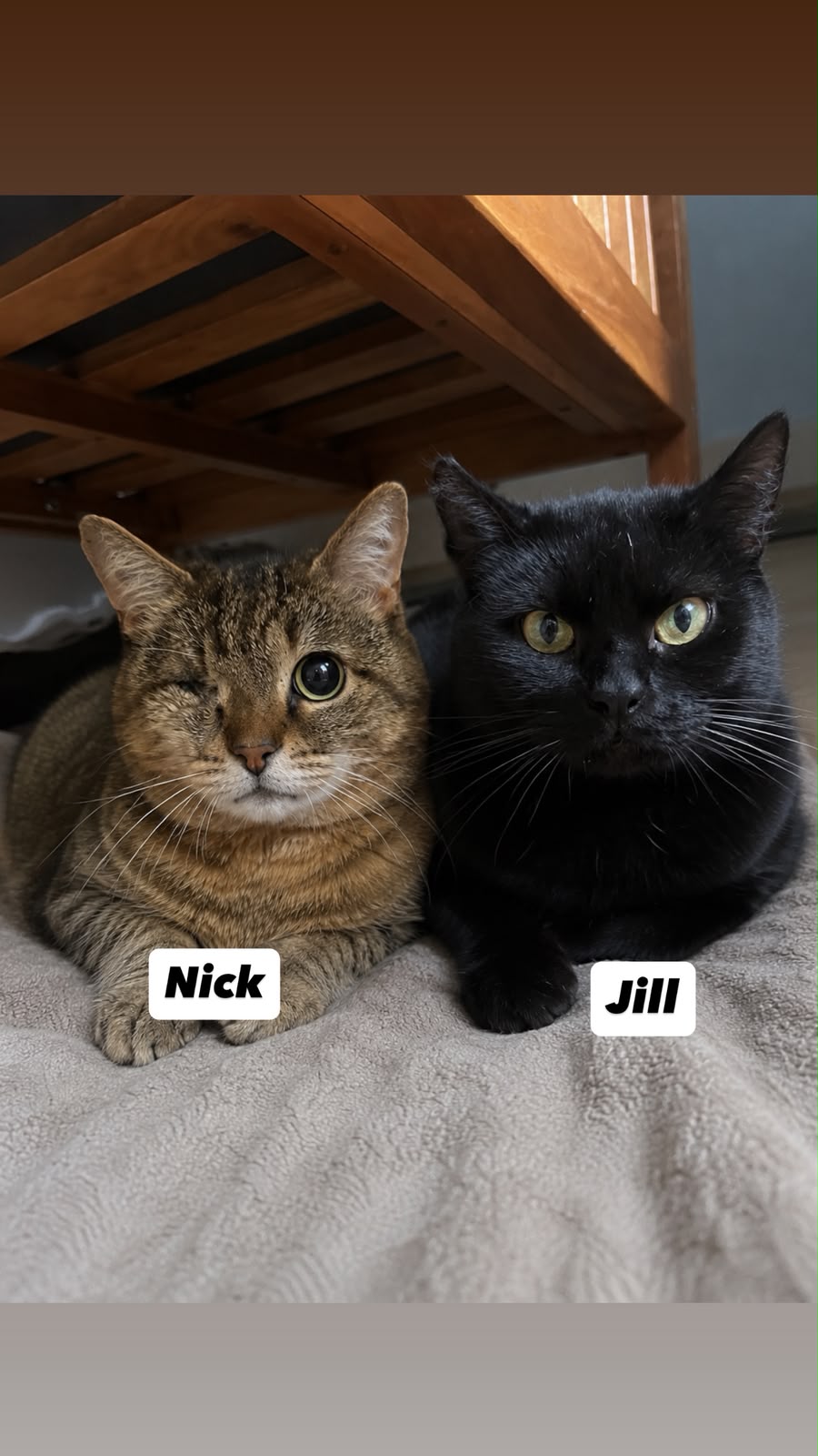 Nik und Jill