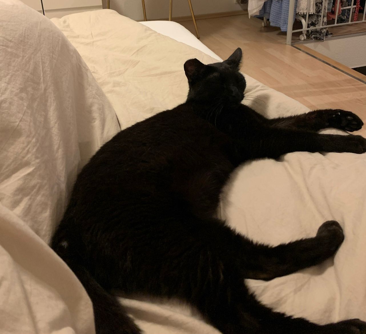 Pepper
