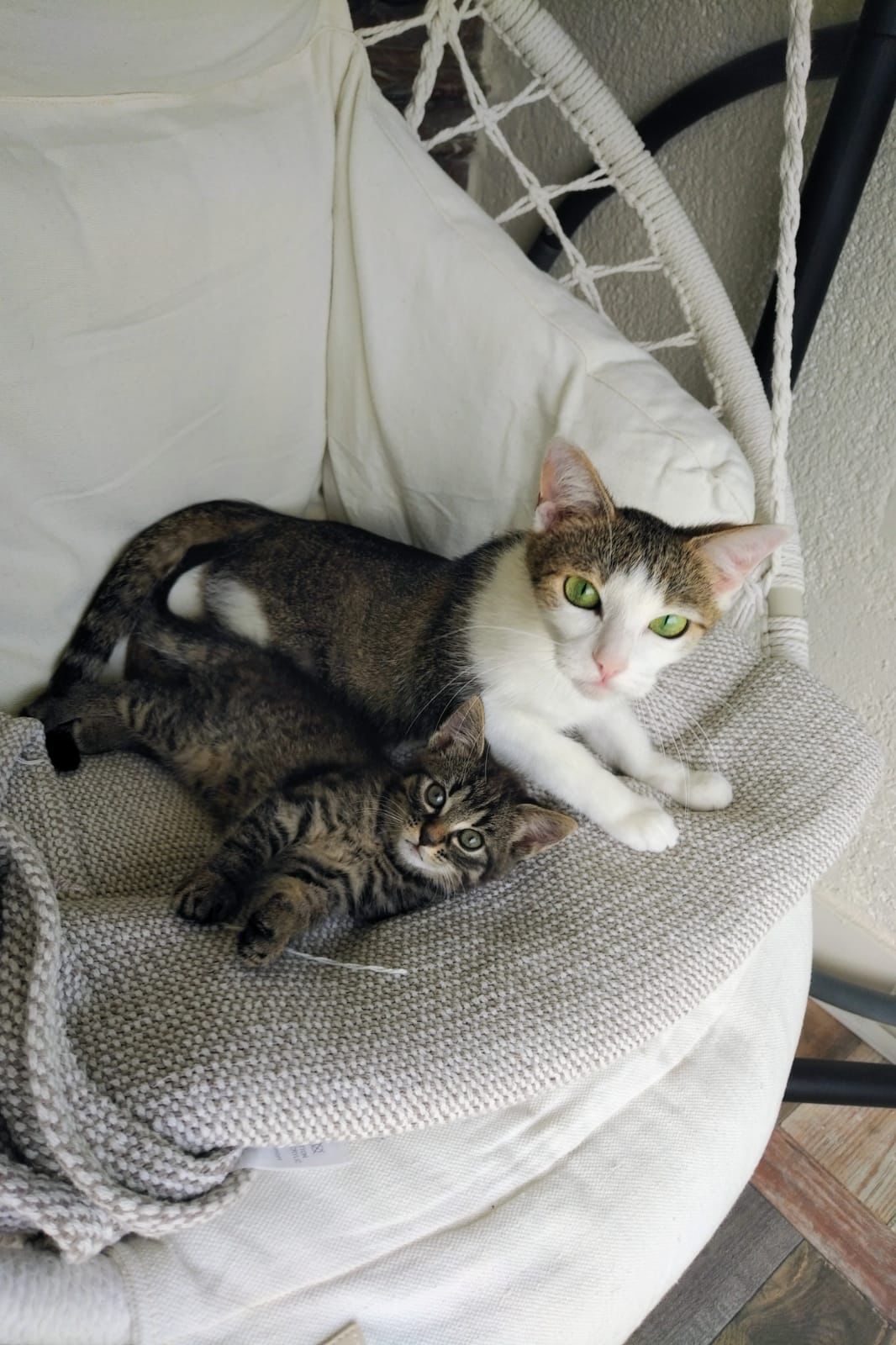 Mama Susi und Magda